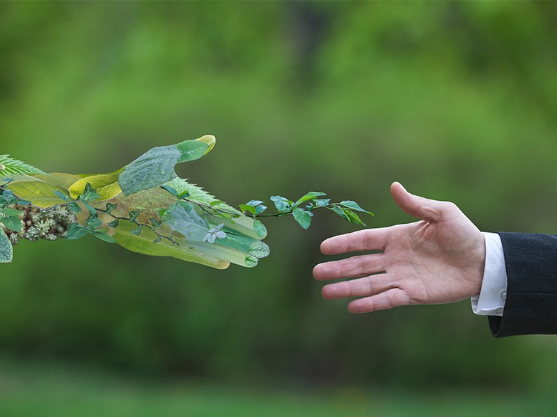 Villanova University Launches Sustainable Enterprise Executive Education & Development Program Villanova University Launches Sustainable Enterprise Executive Education & Development Program