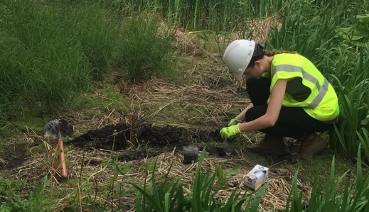 I-95 Stormwater Project Research