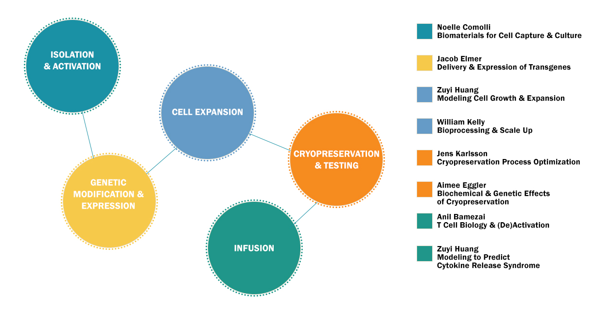 NovaCell Process decorative NovaCell Process decorative