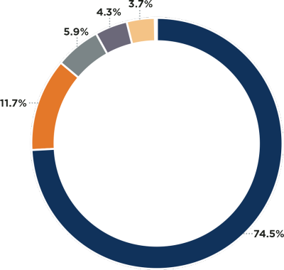Pie Chart of Operating Revenue Pie chart showing revenue sources and percentages