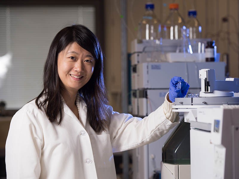 Associate Professor Wenqing “Vicky” Xu, PhD Associate Professor Wenqing “Vicky” Xu, PhD