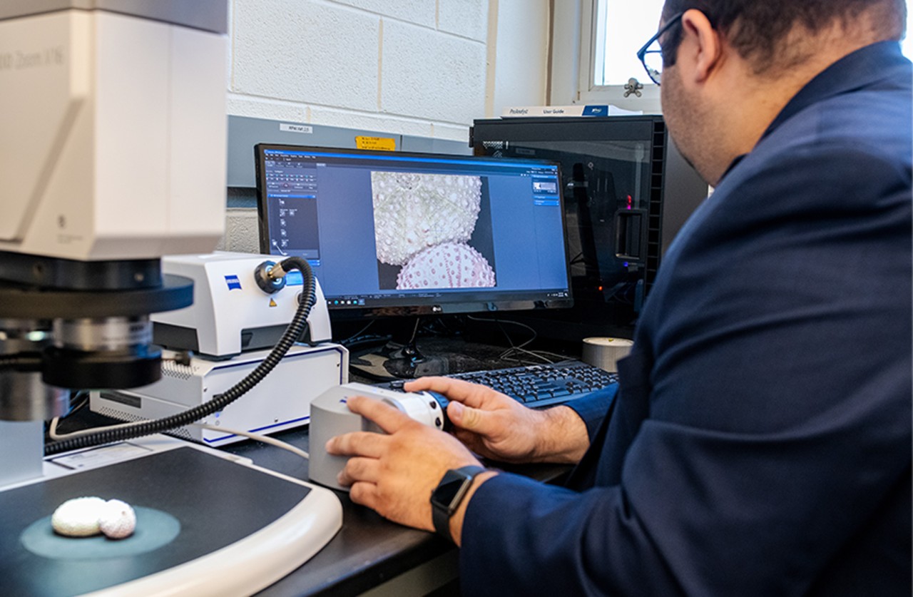 a teaching fellow conducts observations on gecko eggs in the lab